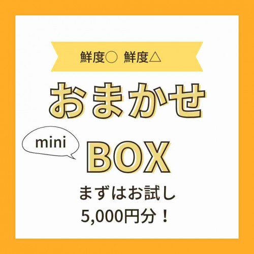 01743302363Carry OPEN! (22).jpg